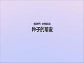 生物济南版八年级上册同步教学课件第4单元 物种的延续第1章绿色开花植物的一生第4节种子的萌发