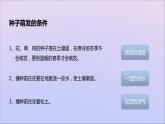生物济南版八年级上册同步教学课件第4单元 物种的延续第1章绿色开花植物的一生第4节种子的萌发