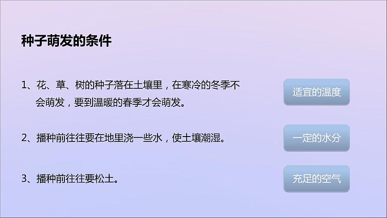 生物济南版八年级上册同步教学课件第4单元 物种的延续第1章绿色开花植物的一生第4节种子的萌发第4页