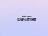 生物济南版八年级上册同步教学课件第4单元 物种的延续第2章动物的生殖和发育第1节昆虫的生殖和发育