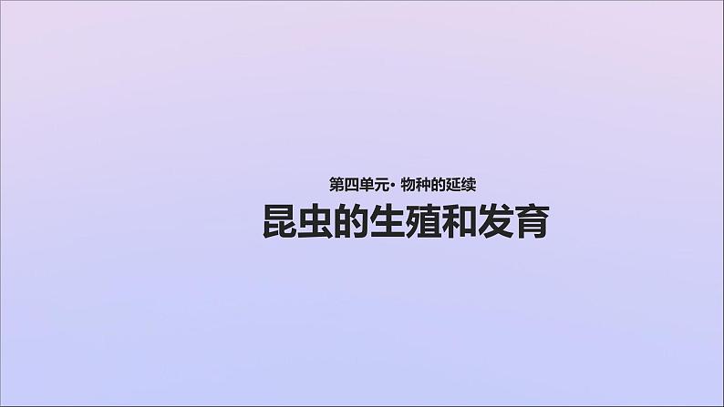 生物济南版八年级上册同步教学课件第4单元 物种的延续第2章动物的生殖和发育第1节昆虫的生殖和发育01