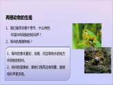 生物济南版八年级上册同步教学课件第4单元 物种的延续第2章动物的生殖和发育第2节两栖动物的生殖和发育