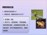 生物济南版八年级上册同步教学课件第4单元 物种的延续第2章动物的生殖和发育第2节两栖动物的生殖和发育