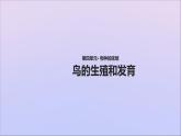 生物济南版八年级上册同步教学课件第4单元 物种的延续第2章动物的生殖和发育第3节鸟的生殖和发育