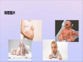 生物济南版八年级上册同步教学课件第4单元 物种的延续第3章人类的生殖和发育第1节婴儿的诞生