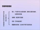 生物济南版八年级上册同步教学课件第4单元 物种的延续第3章人类的生殖和发育第1节婴儿的诞生