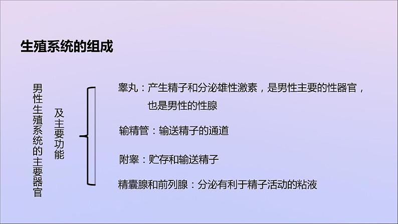 生物济南版八年级上册同步教学课件第4单元 物种的延续第3章人类的生殖和发育第1节婴儿的诞生第4页