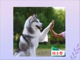 生物济南版八年级上册同步教学课件第4单元 物种的延续第4章生物的遗传与变异第4节生物的变异