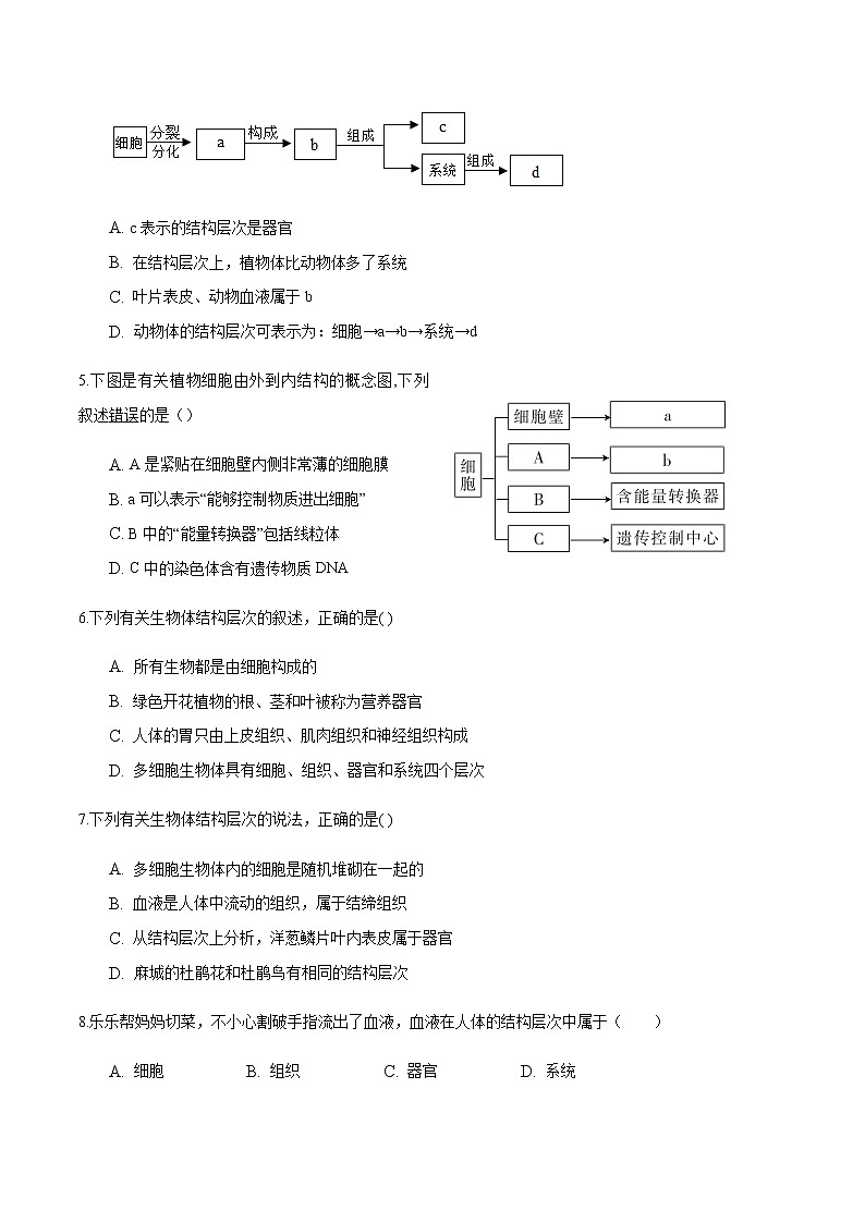 第二单元 生物体的基本结构-2020年中考生物二轮复习单元必刷题（原卷版）02