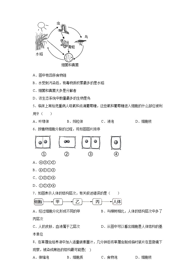 山东省临沂市平邑县2021-2022学年七年级上学期期末生物试题(含答案)02
