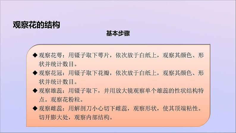 生物济南版八年级上册同步教学课件第4单元 物种的延续第1章绿色开花植物的一生第1节花的结构和类型05