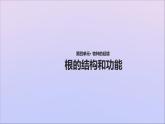 生物济南版八年级上册同步教学课件第4单元 物种的延续第1章绿色开花植物的一生第5节根的结构和功能