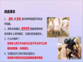 生物济南版八年级上册同步教学课件第4单元 物种的延续第4章生物的遗传与变异第1节遗传的物质基次
