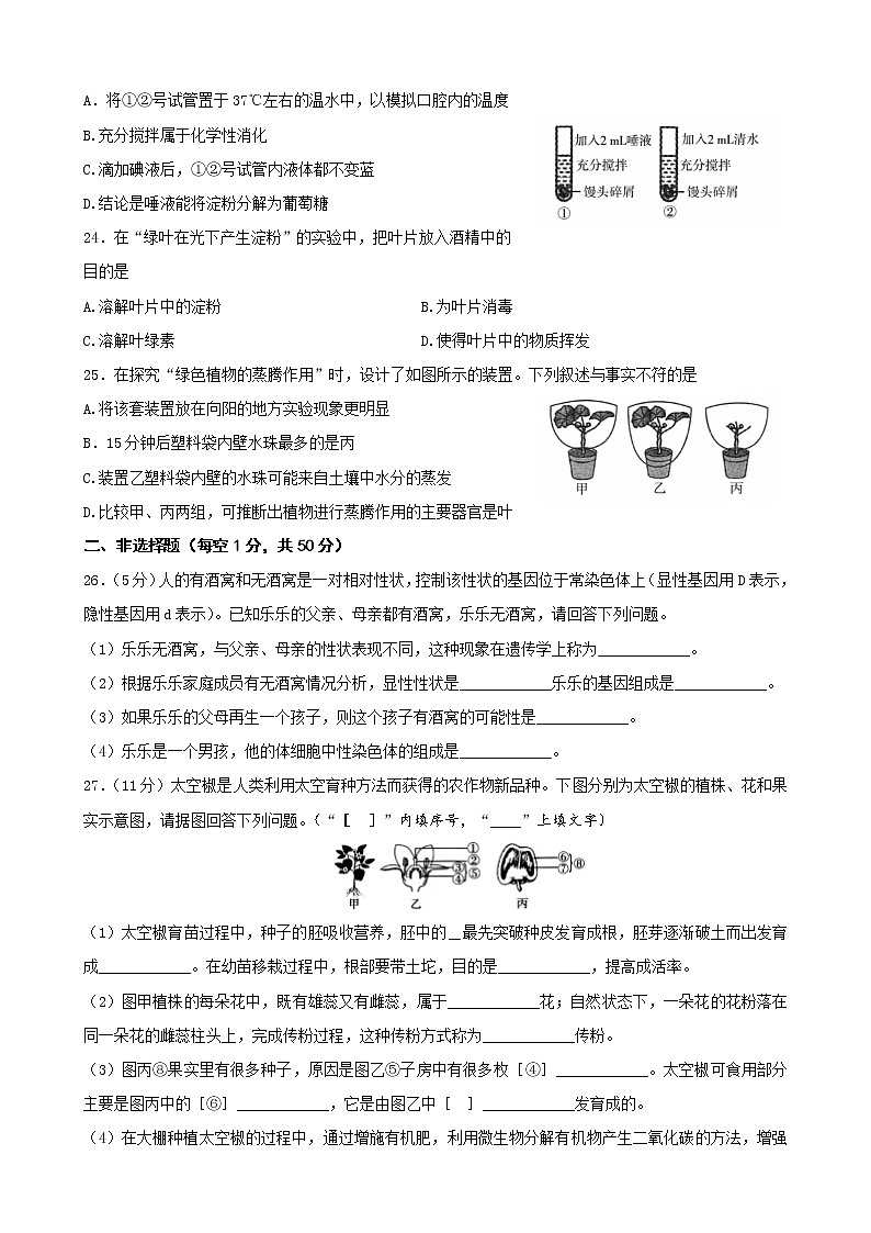 2022年辽宁省鞍山市中考生物真题(word版无答案)第3页