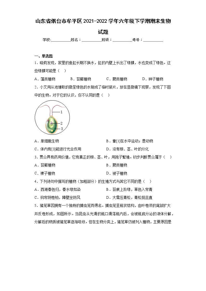 山东省烟台市牟平区2021-2022学年六年级下学期期末生物试题(含答案)01