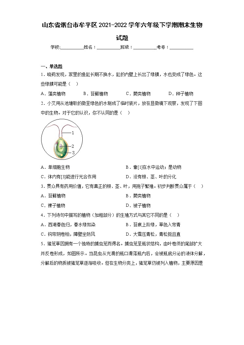山东省烟台市牟平区2021-2022学年六年级下学期期末生物试题(含答案)第1页