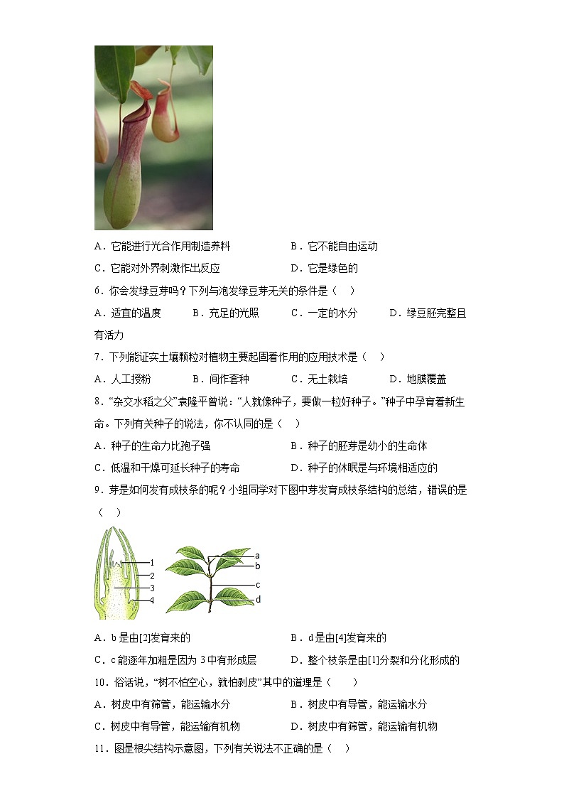 山东省烟台市牟平区2021-2022学年六年级下学期期末生物试题(含答案)第2页
