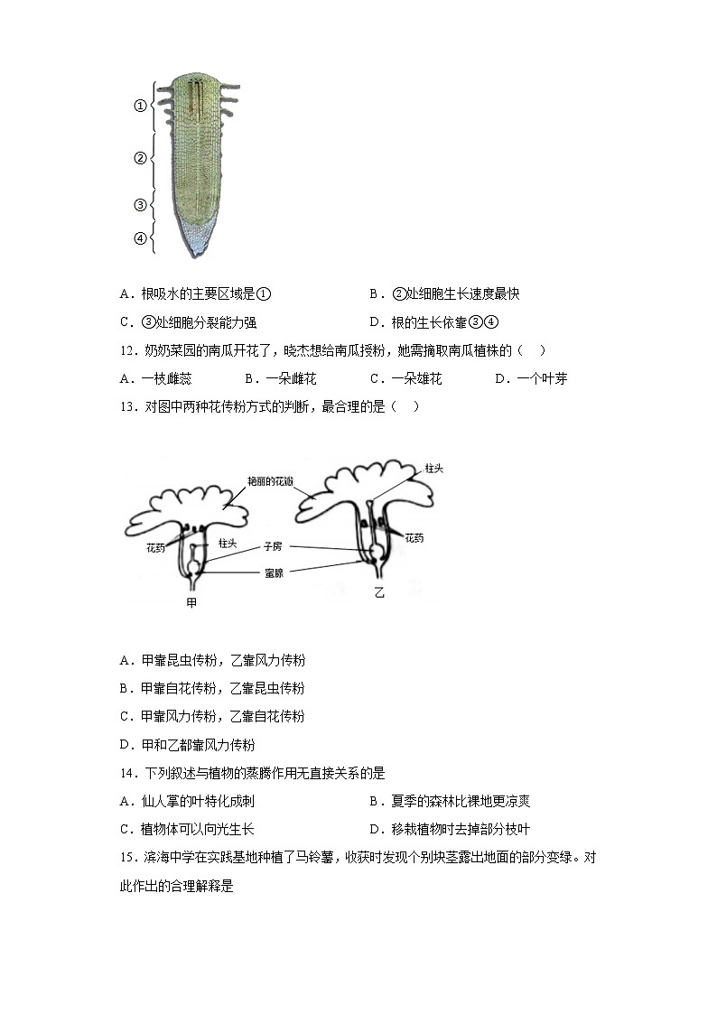 山东省烟台市牟平区2021-2022学年六年级下学期期末生物试题(含答案)第3页
