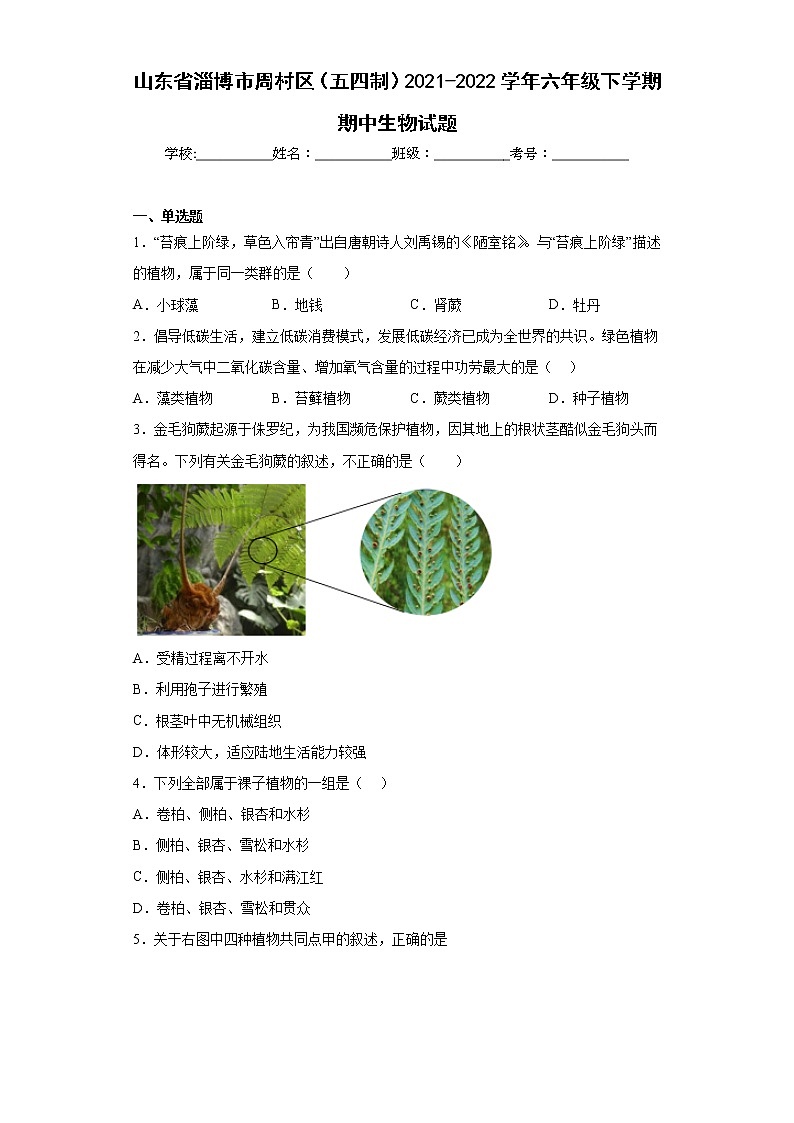 山东省淄博市周村区（五四制）2021-2022学年六年级下学期期中生物试题(含答案)第1页