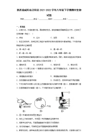 陕西省咸阳市泾阳县2021-2022学年八年级下学期期中生物试题(含答案)