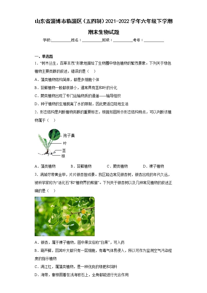 山东省淄博市临淄区（五四制）2021-2022学年六年级下学期期末生物试题(含答案)第1页