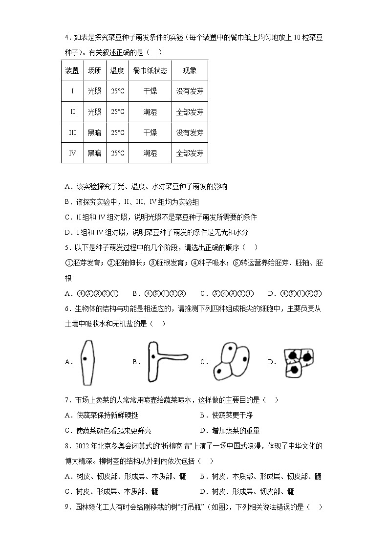 山东省淄博市临淄区（五四制）2021-2022学年六年级下学期期末生物试题(含答案)第2页