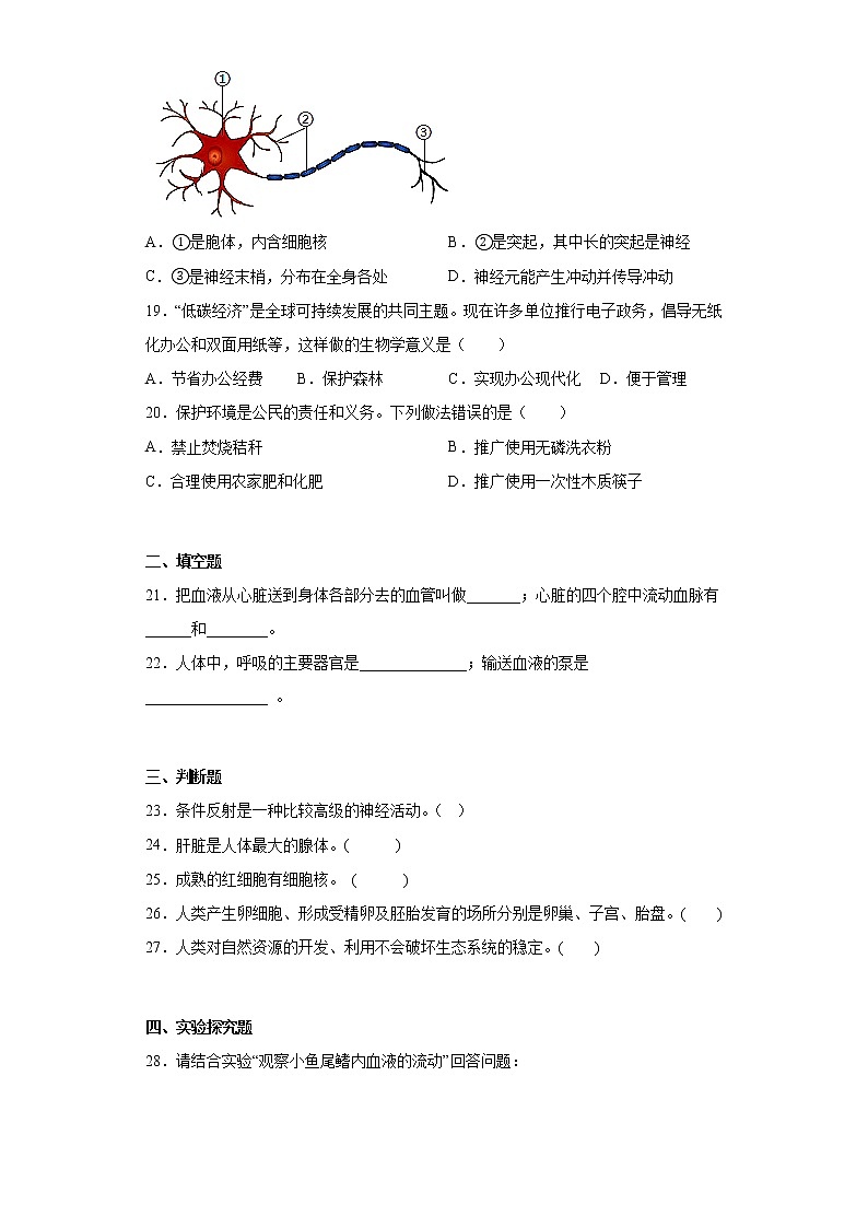 黑龙江省绥化市绥棱县绥中乡学校2021-2022学年六年级（五四学制）下学期期末生物试题(含答案)第3页