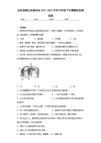 山东省烟台市莱州市2021-2022学年六年级下学期期末生物试题(含答案)