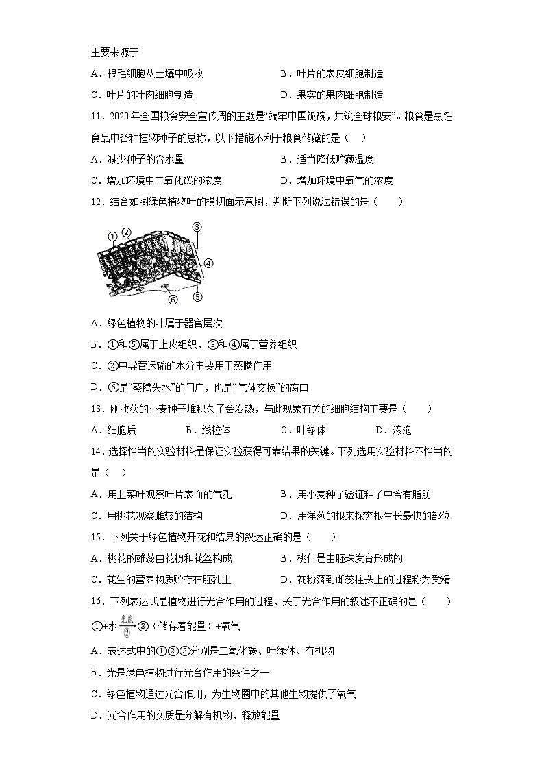 山东省烟台市莱州市2021-2022学年六年级下学期期末生物试题(含答案)03