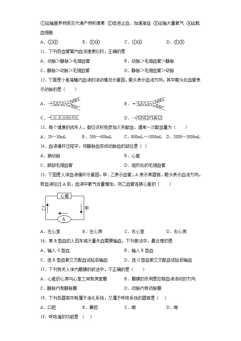 广西百色地区2021-2022学年七年级下学期期中生物试题(含答案)02