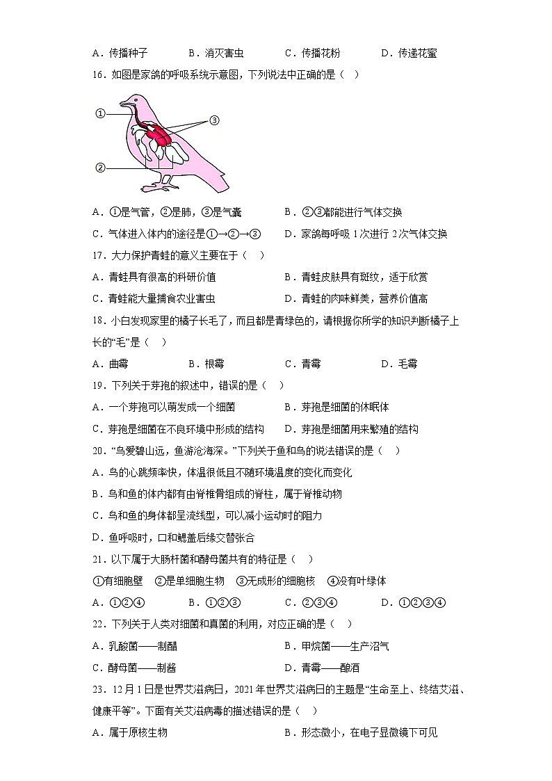 陕西省安康市紫阳县2021-2022学年八年级上学期期末生物试题（A卷）(含答案)第3页
