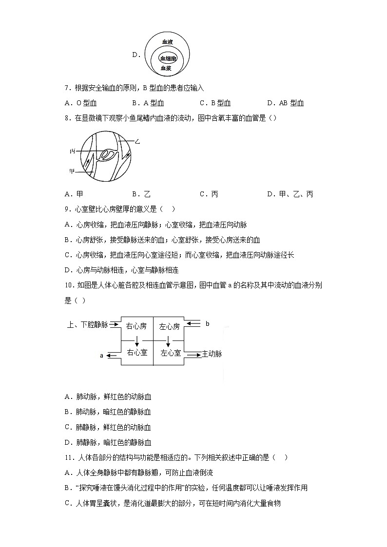 河北省石家庄市桥西区2021-2022学年七年级下学期期末生物试题(含答案)第2页