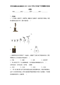 河北省唐山市滦南县2021-2022学年八年级下学期期中生物试题(含答案)