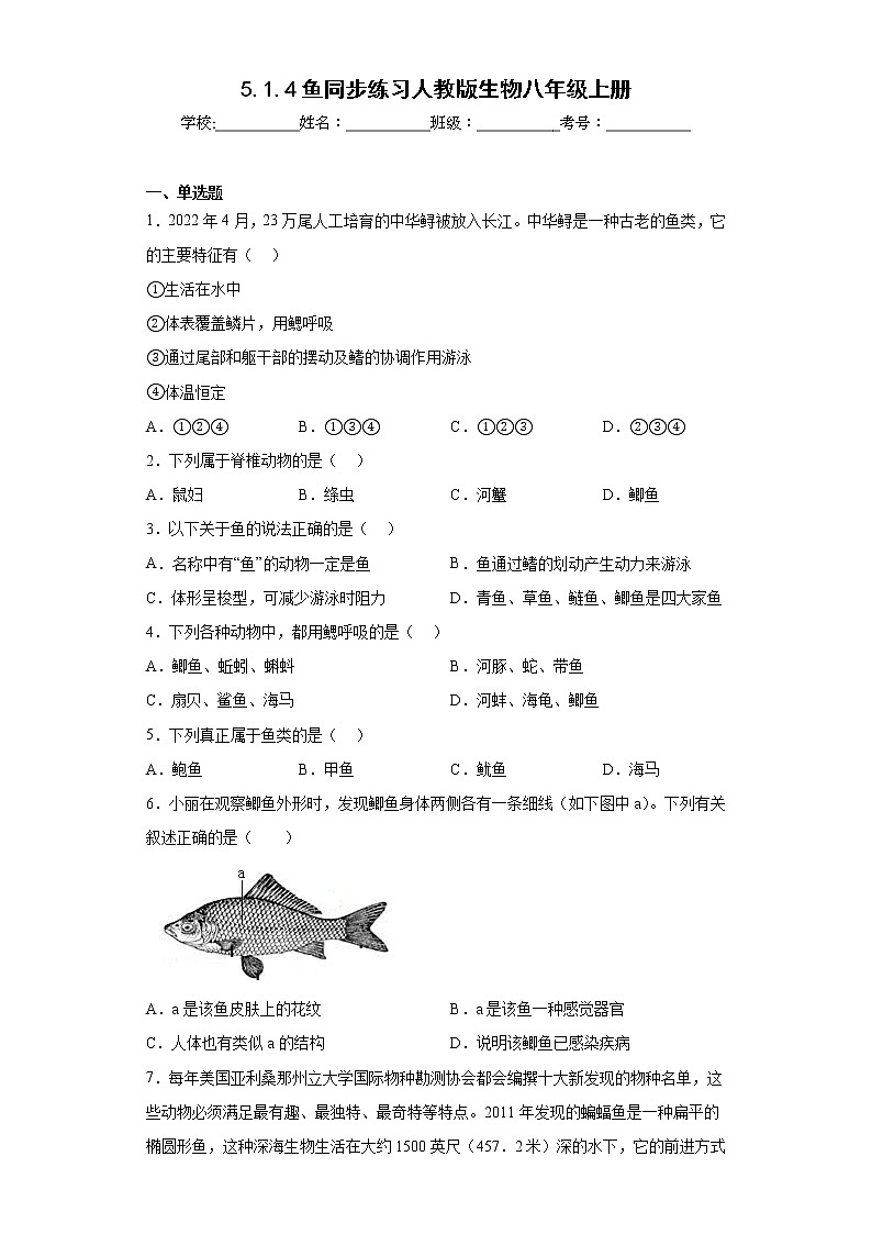 5.1.4鱼同步练习人教版生物八年级上册01
