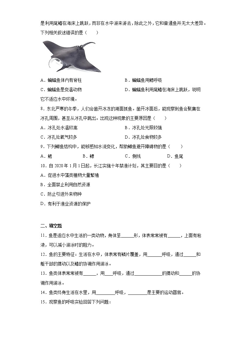 5.1.4鱼同步练习人教版生物八年级上册02