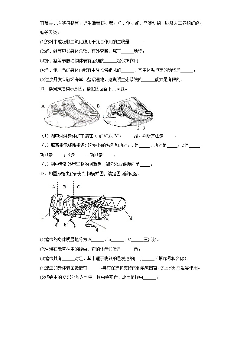 5.1.3软体动物和节肢动物同步练习人教版生物八年级上册第3页