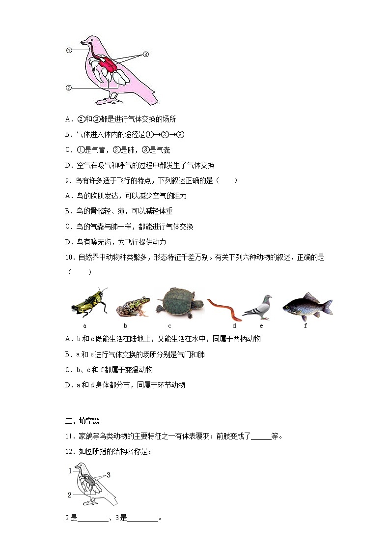 5.1.6鸟同步练习人教版生物八年级上册02