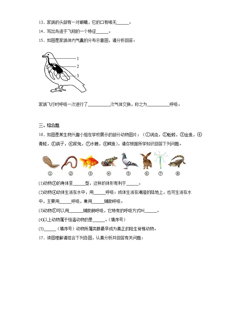 5.1.6鸟同步练习人教版生物八年级上册03