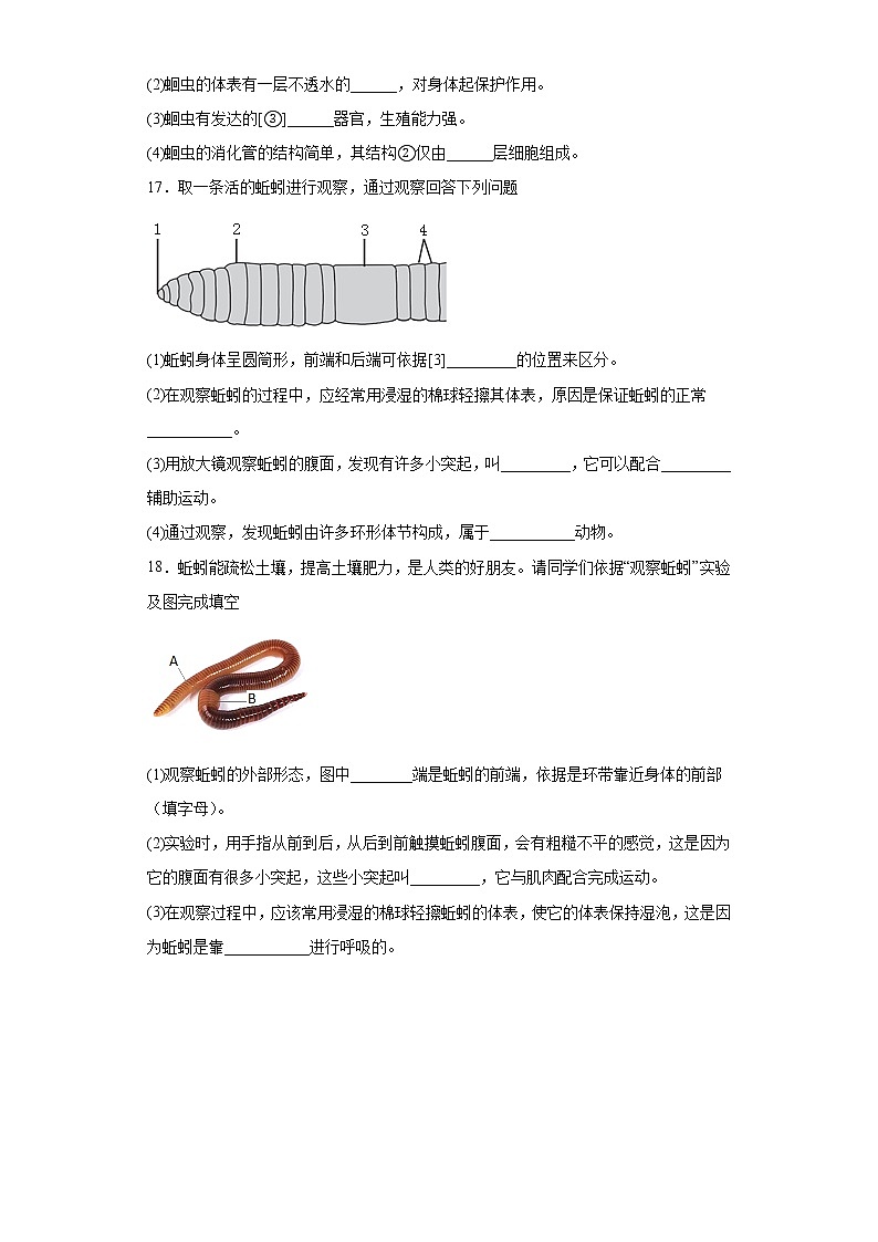 5.1.2线形动物和环节动物同步练习人教版生物八年级上册第3页