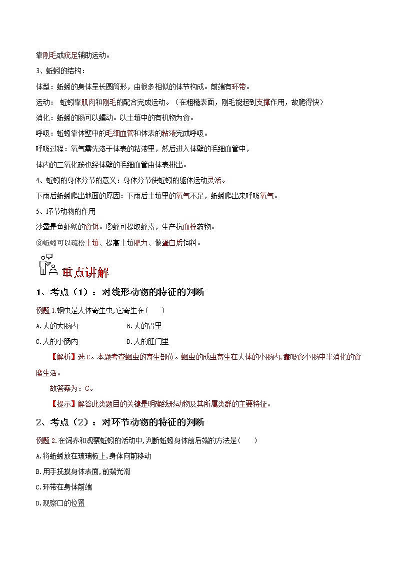 5.1.2 线形动物和环节动物（教师版）- 2022-2023学年八上生物同步精品讲义（人教版）第2页