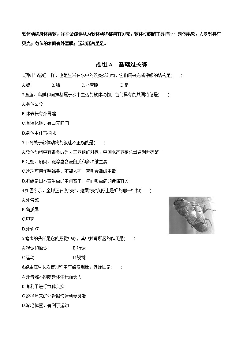 5.1.3 软体动物和节肢动物（学生版）- 2022-2023学年八上生物同步精品讲义（人教版）第3页