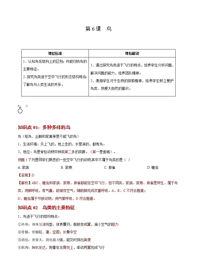 5.1.6 鸟- 2022-2023学年八年级上册生物同步精品讲义（人教版）01