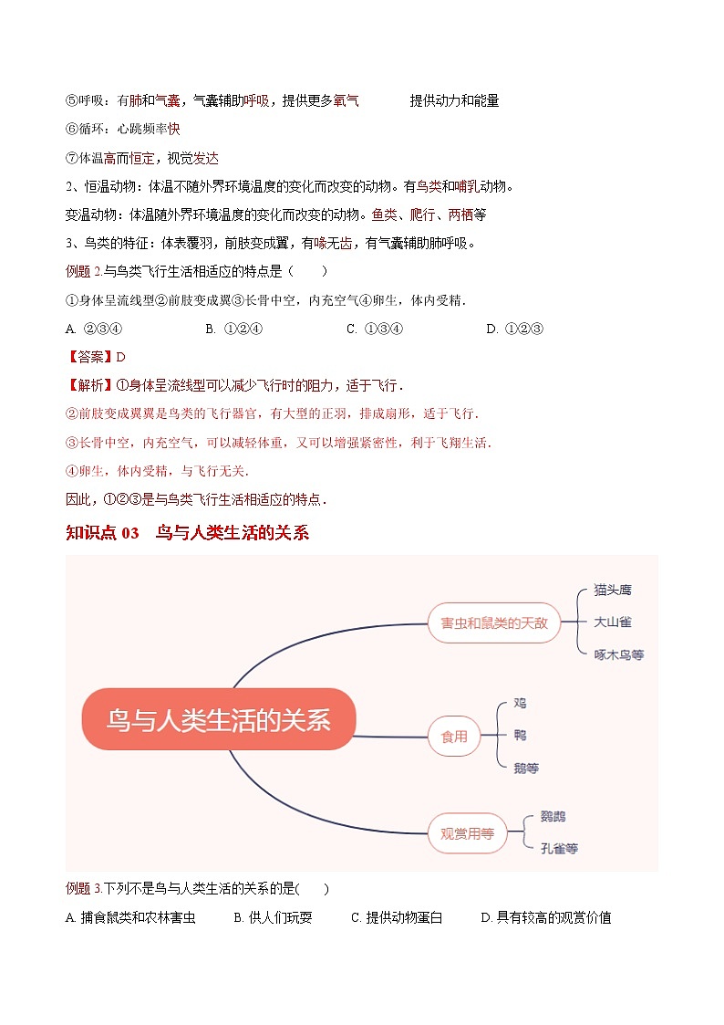5.1.6 鸟- 2022-2023学年八年级上册生物同步精品讲义（人教版）02