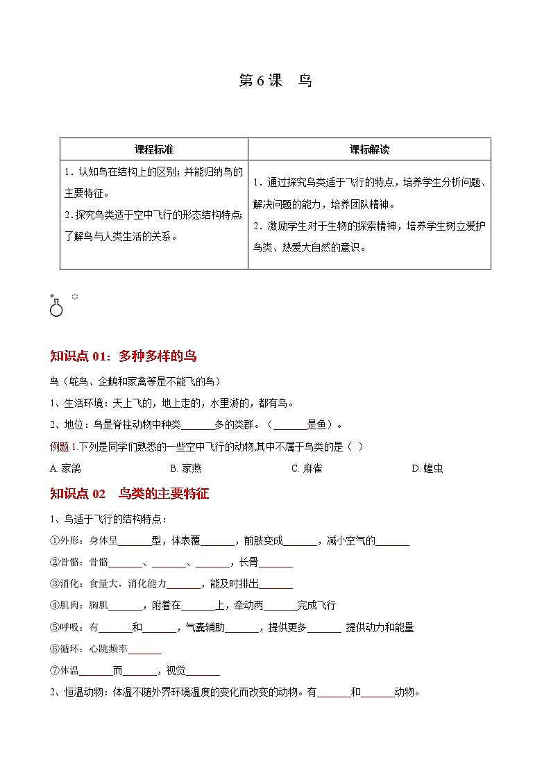5.1.6 鸟- 2022-2023学年八年级上册生物同步精品讲义（人教版）01