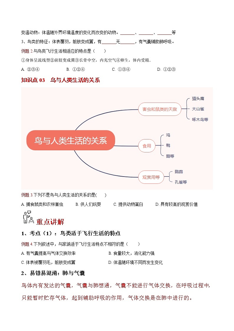 5.1.6 鸟- 2022-2023学年八年级上册生物同步精品讲义（人教版）02