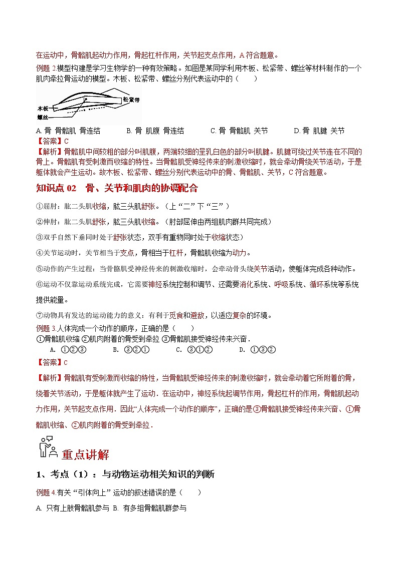 5.2.1 动物的运动（教师版）- 2022-2023学年八上生物同步精品讲义（人教版）第2页