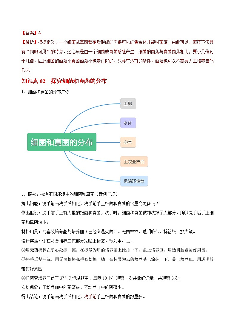 5.4.1 细菌和真菌的分布- 2022-2023学年八年级上册生物同步精品讲义（人教版）02