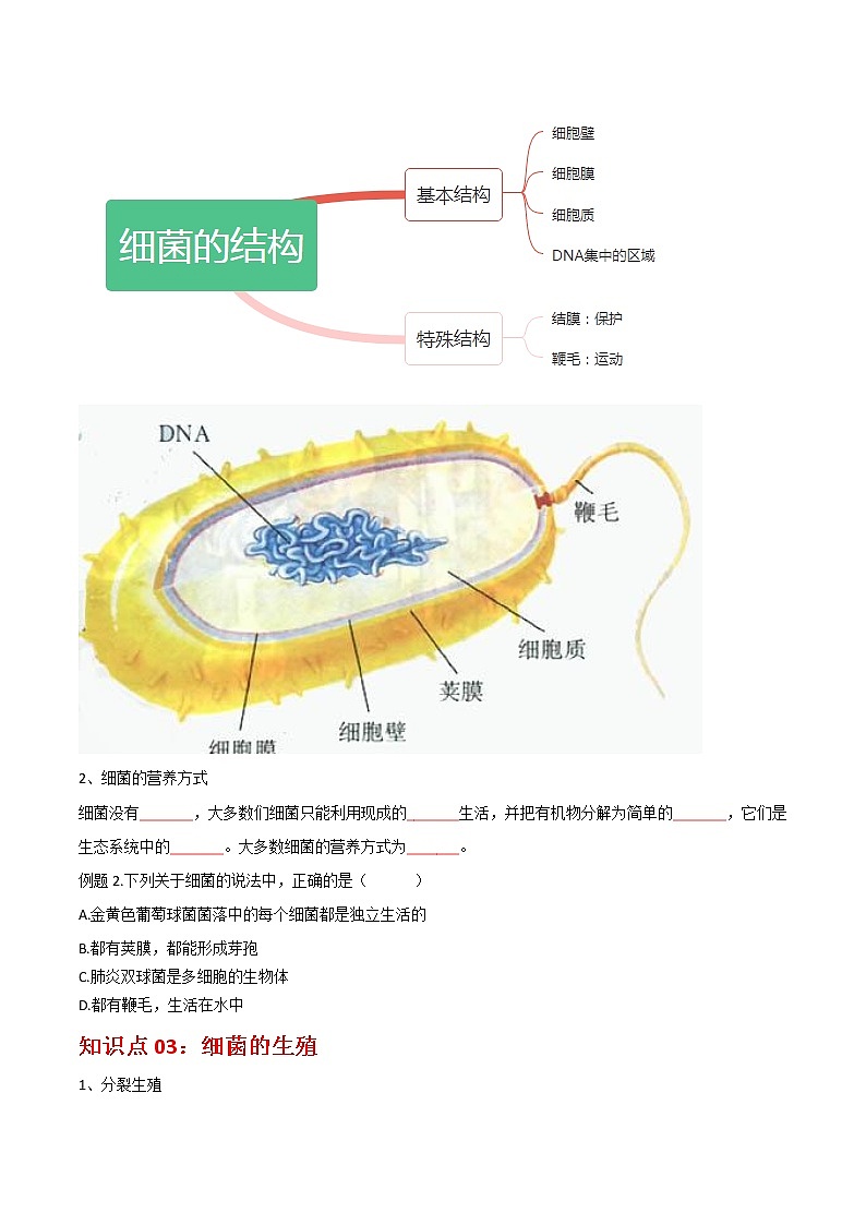 5.4.2 细菌- 2022-2023学年八年级上册生物同步精品讲义（人教版）02
