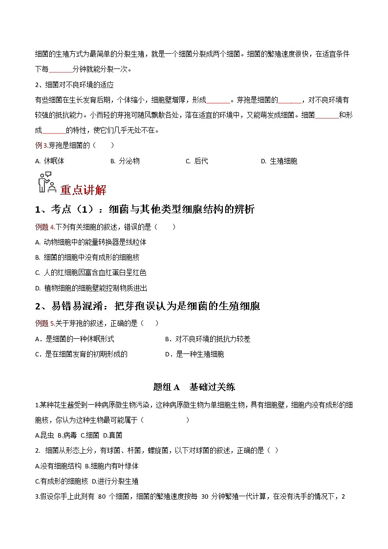 5.4.2 细菌- 2022-2023学年八年级上册生物同步精品讲义（人教版）03