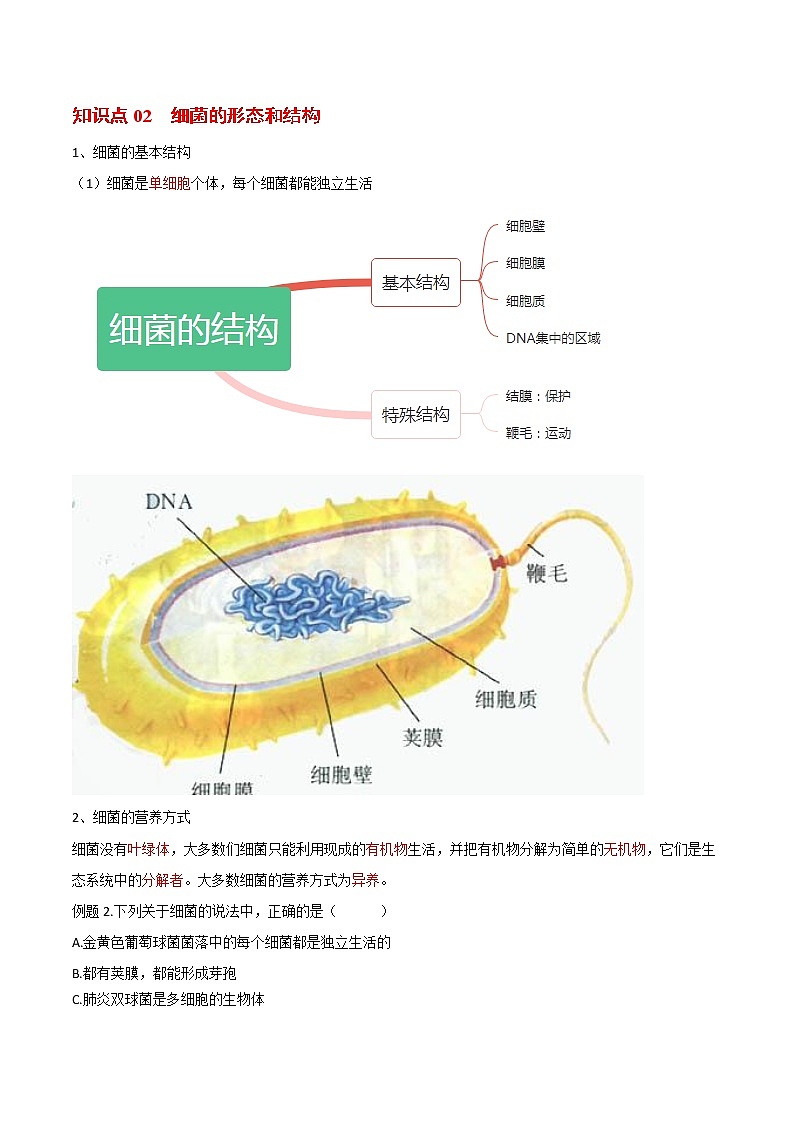 5.4.2 细菌- 2022-2023学年八年级上册生物同步精品讲义（人教版）02